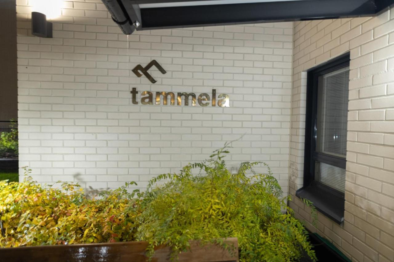 Arctic City Apartment Tammela With Sauna And Free Parking Ροβανιέμι Εξωτερικό φωτογραφία